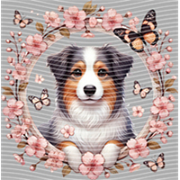 Animal Integration-DW 510